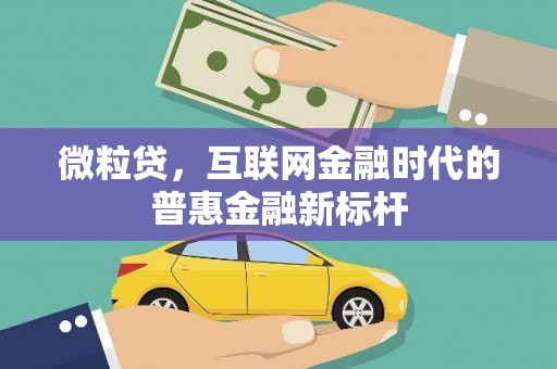 雨山微粒贷，互联网金融时代的普惠金融新标杆