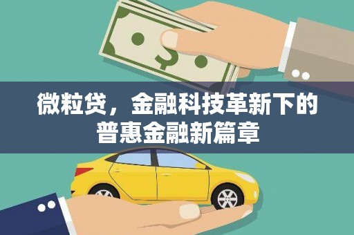 雨山微粒贷，金融科技革新下的普惠金融新篇章