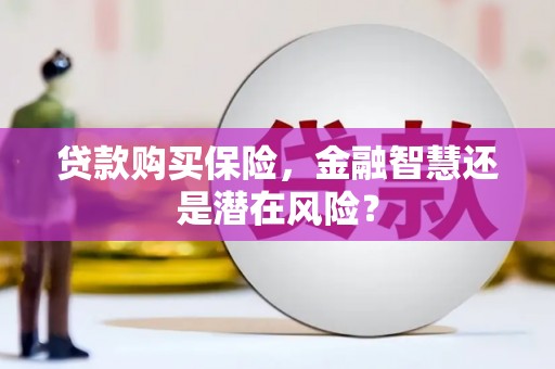 雨山贷款购买保险，金融智慧还是潜在风险？