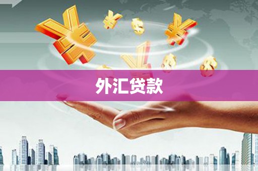 雨山外汇贷款
