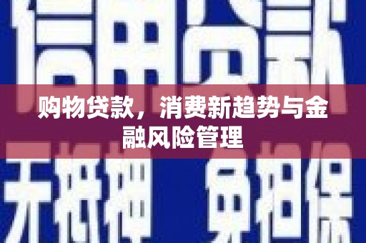 雨山购物贷款，消费新趋势与金融风险管理