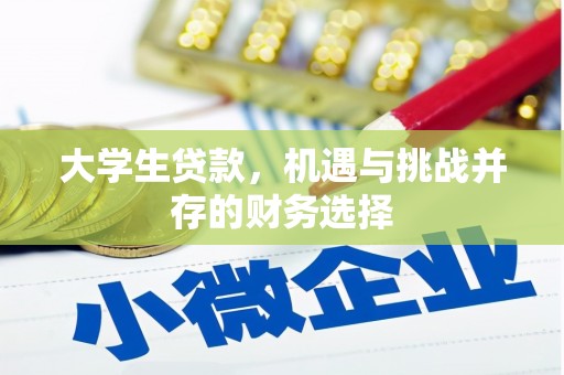 雨山大学生贷款，机遇与挑战并存的财务选择