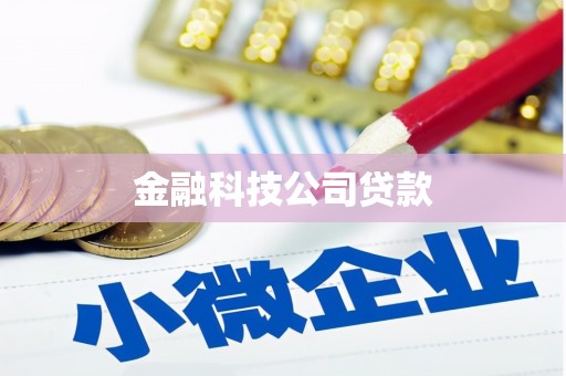 雨山金融科技公司贷款