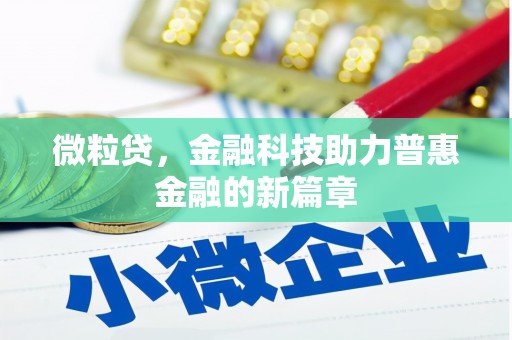 雨山微粒贷，金融科技助力普惠金融的新篇章