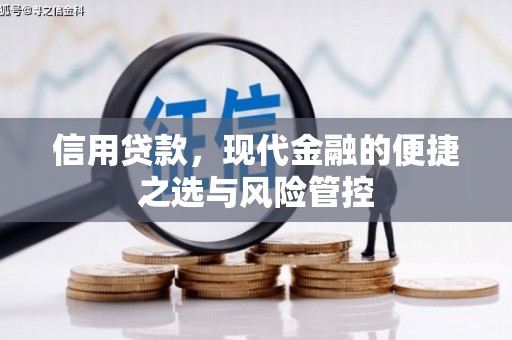 雨山信用贷款，现代金融的便捷之选与风险管控