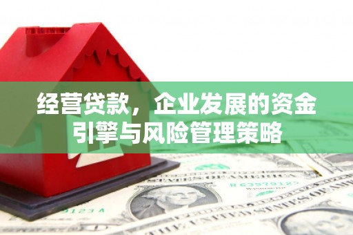雨山经营贷款，企业发展的资金引擎与风险管理策略