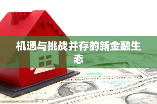 雨山机遇与挑战并存的新金融生态