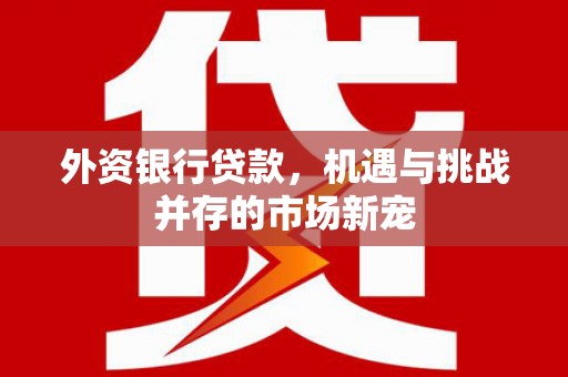雨山外资银行贷款，机遇与挑战并存的市场新宠