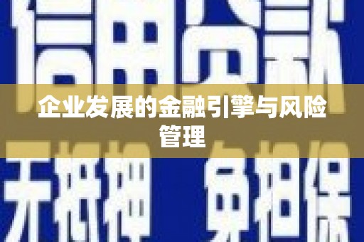 雨山企业发展的金融引擎与风险管理