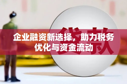 雨山企业融资新选择，助力税务优化与资金流动