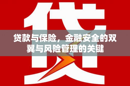 雨山贷款与保险，金融安全的双翼与风险管理的关键