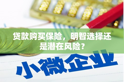 雨山贷款购买保险，明智选择还是潜在风险？