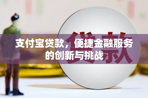 雨山支付宝贷款，便捷金融服务的创新与挑战