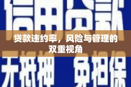 雨山贷款违约率，风险与管理的双重视角