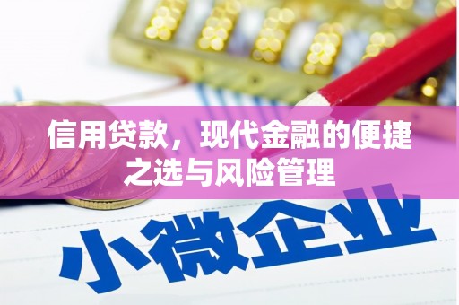 雨山信用贷款，现代金融的便捷之选与风险管理