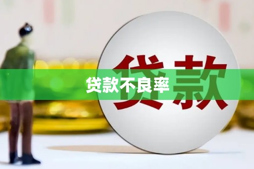 雨山贷款不良率