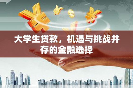 雨山大学生贷款，机遇与挑战并存的金融选择