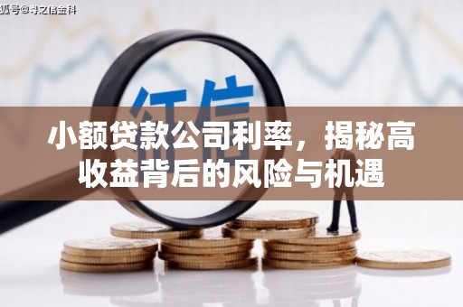 雨山小额贷款公司利率，揭秘高收益背后的风险与机遇