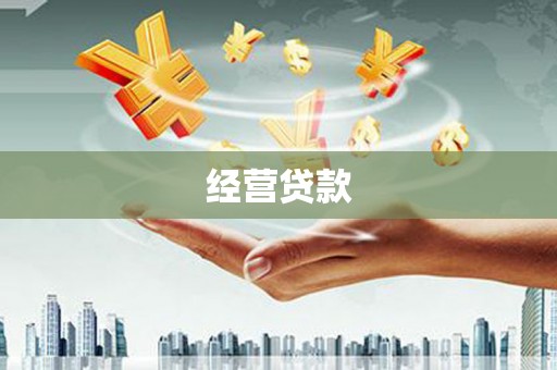 雨山经营贷款
