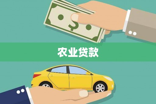 雨山农业贷款