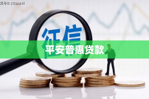 雨山平安普惠贷款