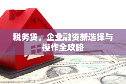 雨山税务贷，企业融资新选择与操作全攻略
