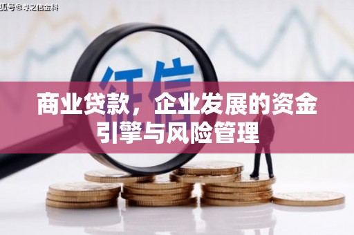 雨山商业贷款，企业发展的资金引擎与风险管理