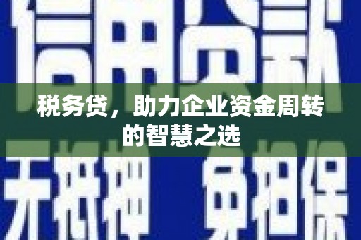 雨山税务贷，助力企业资金周转的智慧之选