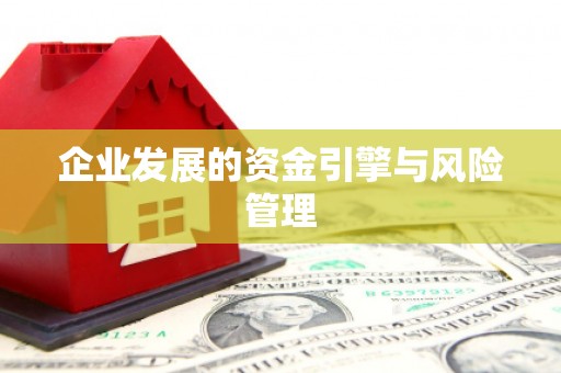 雨山企业发展的资金引擎与风险管理