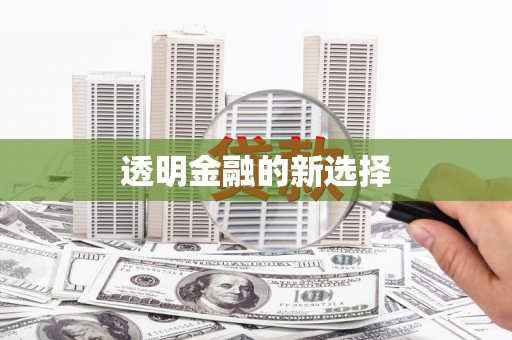雨山透明金融的新选择