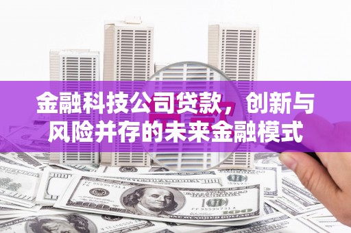 雨山金融科技公司贷款，创新与风险并存的未来金融模式