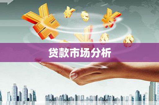 雨山贷款市场分析