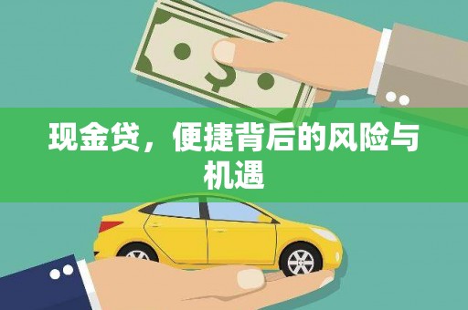 雨山现金贷，便捷背后的风险与机遇