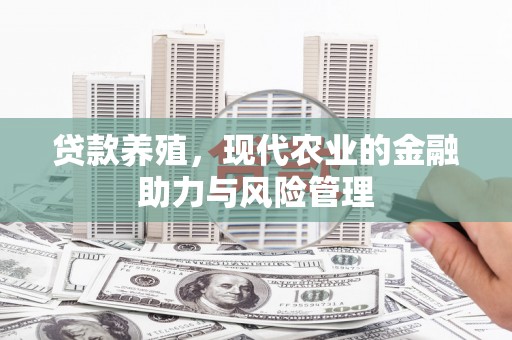 雨山贷款养殖，现代农业的金融助力与风险管理