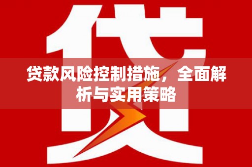 雨山贷款风险控制措施，全面解析与实用策略