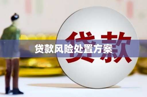 雨山贷款风险处置方案
