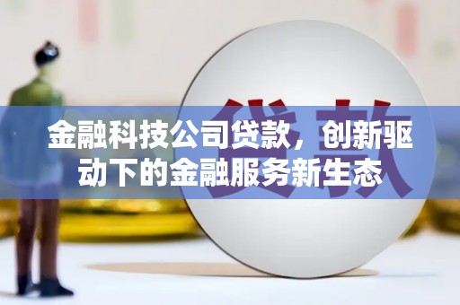 雨山金融科技公司贷款，创新驱动下的金融服务新生态