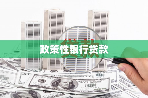 雨山政策性银行贷款