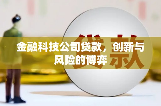 雨山金融科技公司贷款，创新与风险的博弈