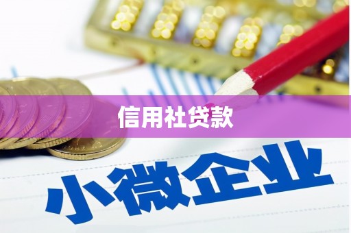 雨山信用社贷款