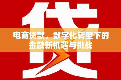 雨山电商贷款，数字化转型下的金融新机遇与挑战