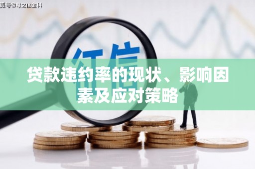 雨山贷款违约率的现状、影响因素及应对策略
