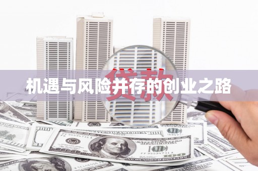 雨山机遇与风险并存的创业之路
