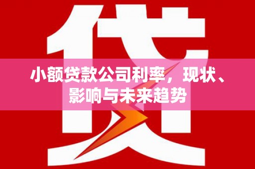雨山小额贷款公司利率，现状、影响与未来趋势