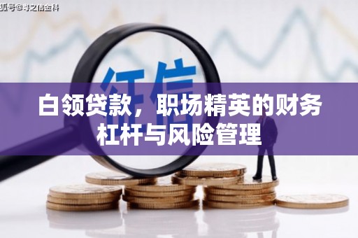 雨山白领贷款，职场精英的财务杠杆与风险管理