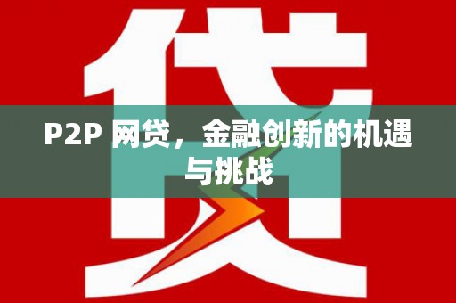 雨山P2P 网贷，金融创新的机遇与挑战