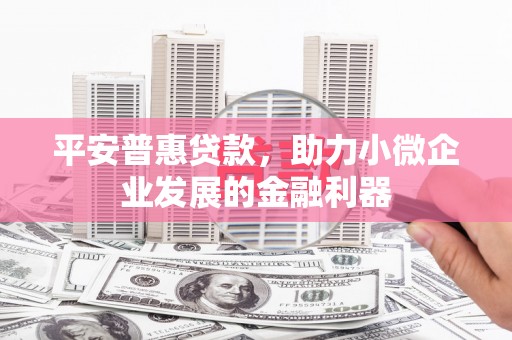 雨山平安普惠贷款，助力小微企业发展的金融利器