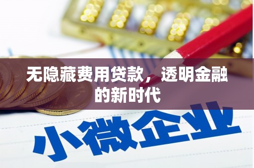 雨山无隐藏费用贷款，透明金融的新时代
