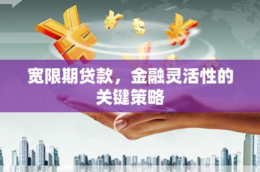 雨山宽限期贷款，金融灵活性的关键策略