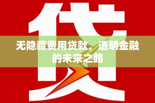 雨山无隐藏费用贷款，透明金融的未来之路